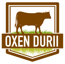 Oxen Durii