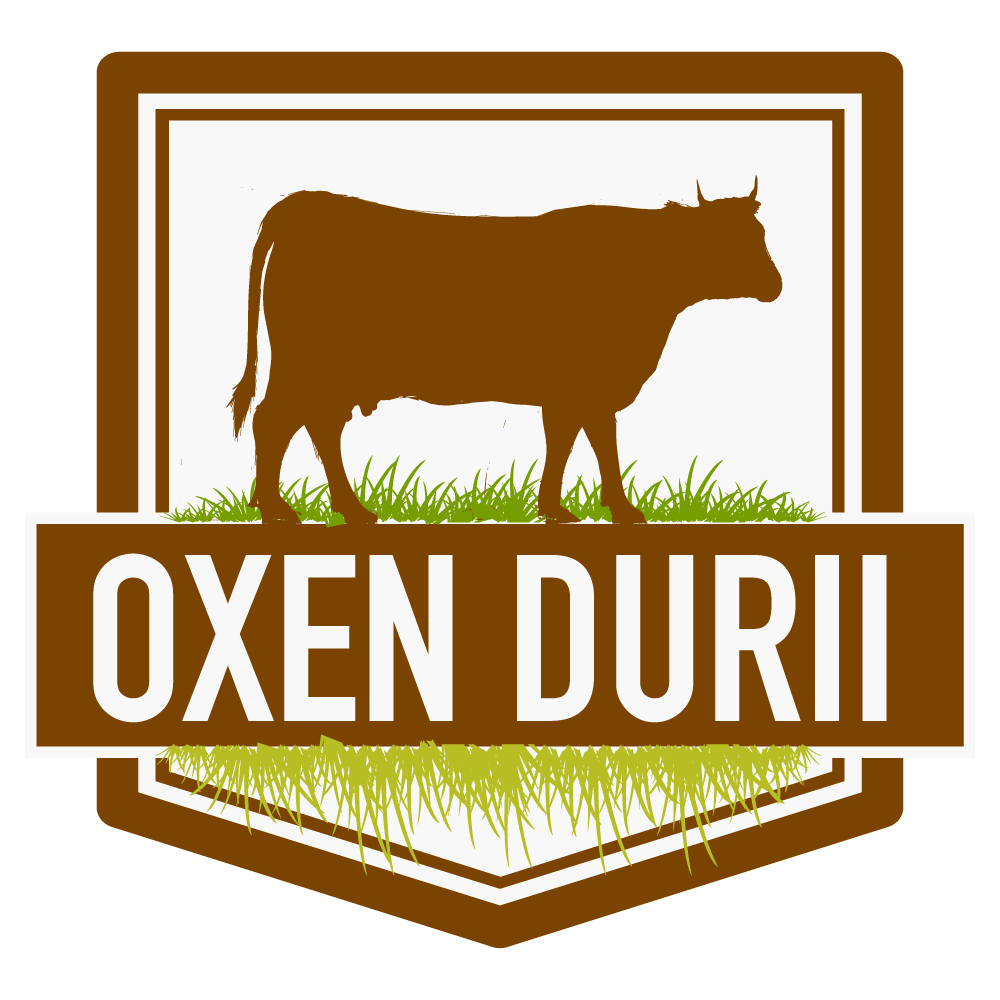 Oxen Durii